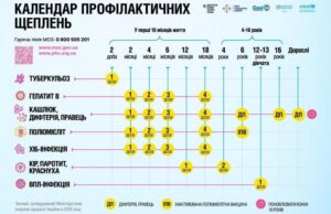 Інфографіка МОЗ України «Календар профілактичних щеплень» із графіком вакцинації дітей від 2 доби життя до 16 років та дорослих.