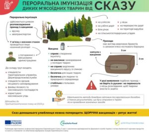 Інфографіка Держпродспоживслужби про пероральну імунізацію диких тварин проти сказу. На малюнку зображено коричневий брикет принади розміром 3х5 см із капсулою всередині, місця його розповсюдження (ліси, узлісся, узбіччя), а також правила безпеки: не брати приманки руками та не переносити їх. Унизу вміщено нагадування про обов'язкову щорічну вакцинацію домашніх улюбленців.
